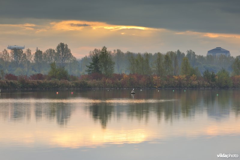 Grote Vijver deel 2 in het Zennegat