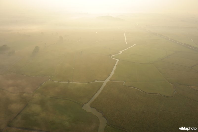 Zijdelingsgeleed