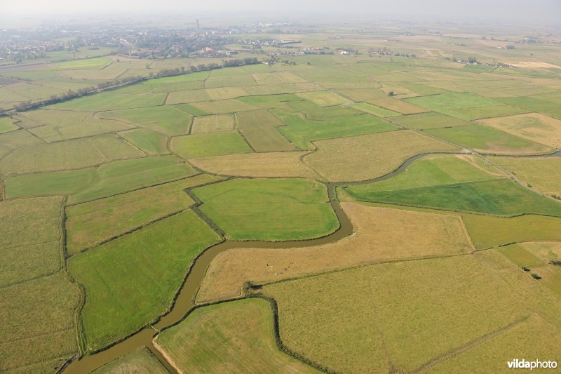 Zijdelingsgeleed