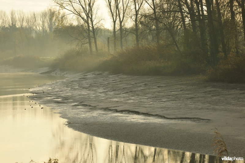 Drooggevallen slikplaten van de Durme bij laagtij