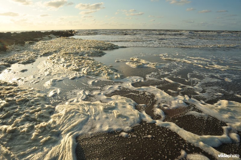 Noordzeestrand