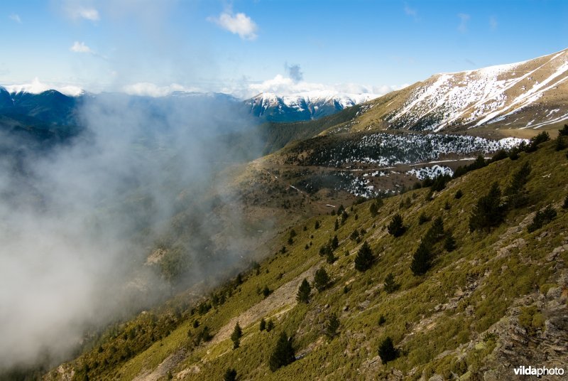 Landschap in de Pyreneeën