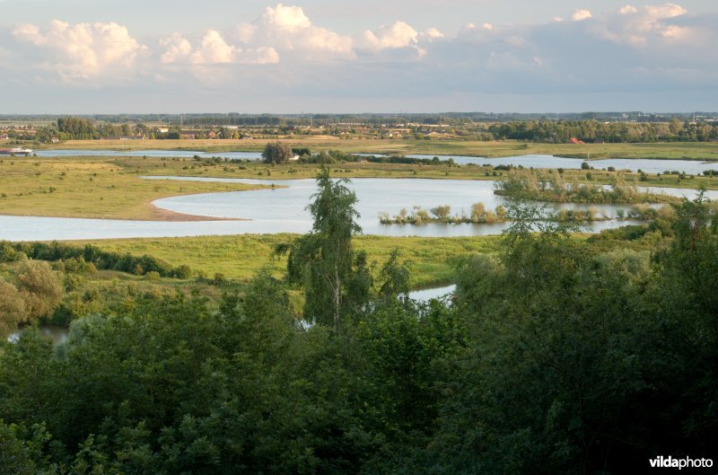 Natuurgebied De Blauwe Kamer