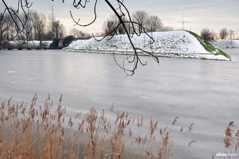 Walgracht rond Fort Lillo