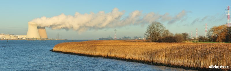 Galgenschoor aan de Schelde