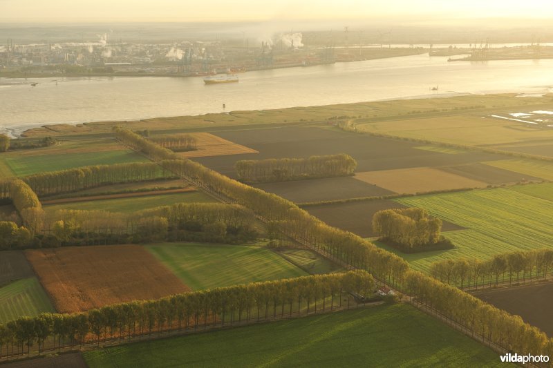 Hedwige-, Prosperpolder en Schelde