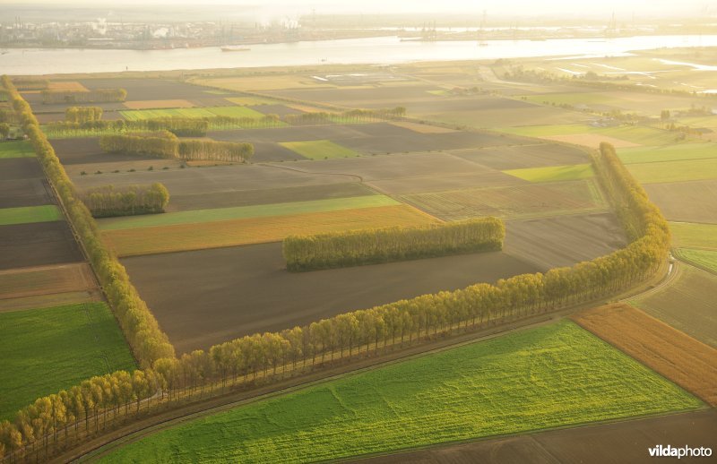 Zeedijk van de Prosperpolder