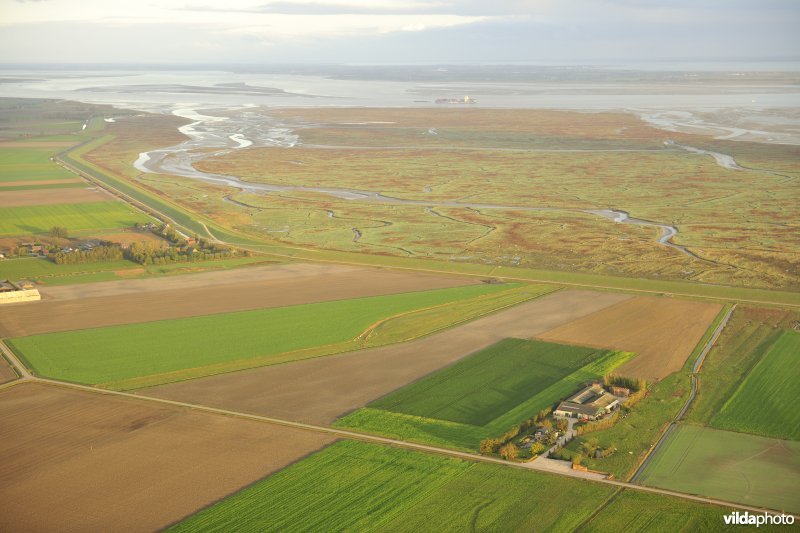 Hedwigepolder en Verdronken land van Saeftinge