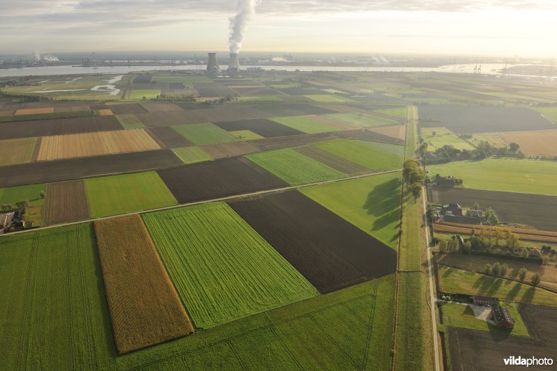 Lappendeken van akkers in de Doelpolder