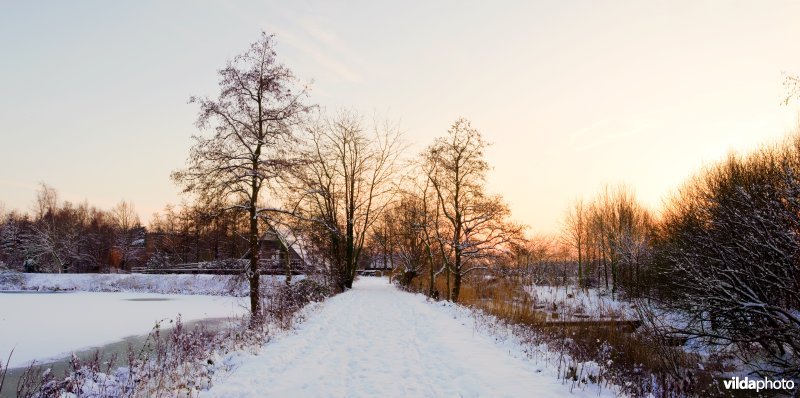 Winters Molsbroek