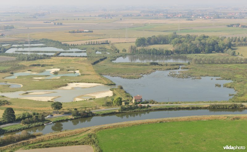 Viconia Kleiputten