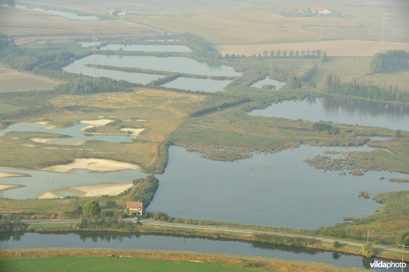 Viconia Kleiputten