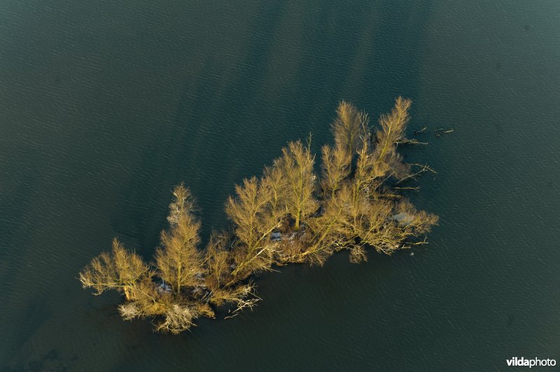De Biesbosch