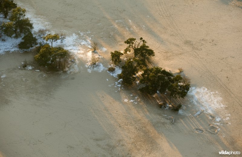 Luchtfoto Loonse en Drunense Duinen