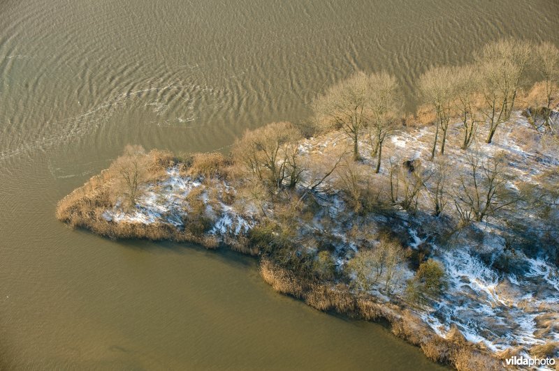 De Biesbosch