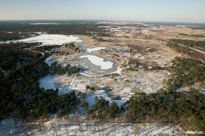 Luchtfoto van de Kalmthoutse Heide