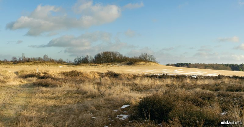 Loonse en Drunense Duinen