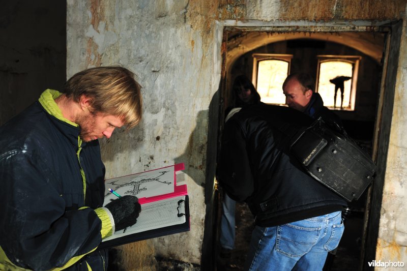 Vleermuizen tellen in het Fort van Oelegem