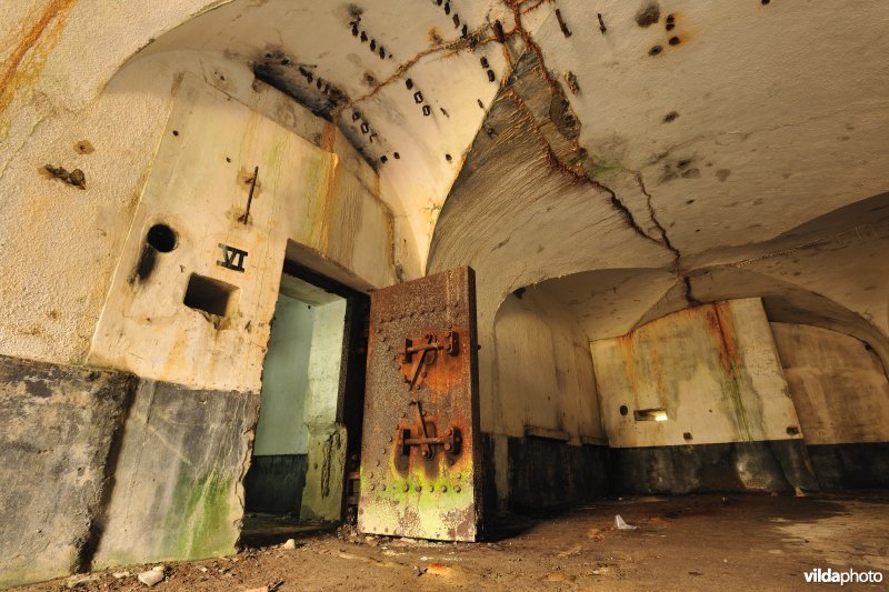 Fort Oelegem