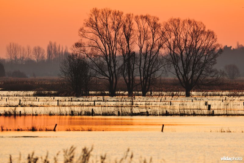 Overstroomde Woumenbroek