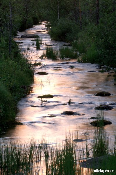 Riviertje in Oulanka National Park