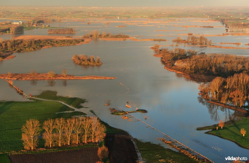 Overstroomde Blankaartvijver