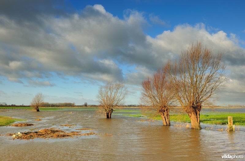 Overstroomde Noordschotebroek