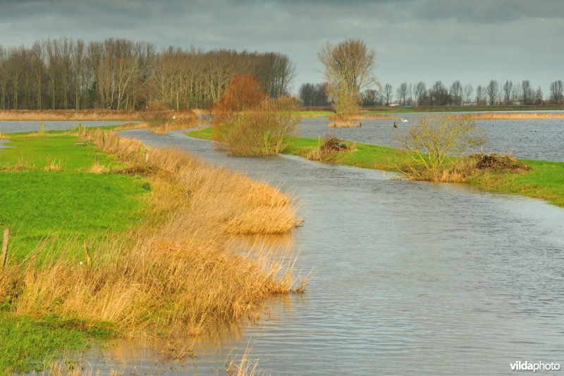 Overstroomde Noordschotebroek