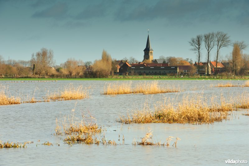 Overstroomde Noordschotebroek
