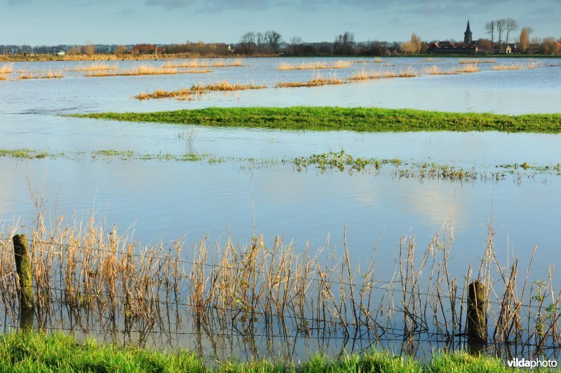 Overstroomde Noordschotebroek