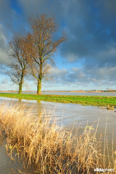 Kemmelbeek en overstroomde Noordschotebroek