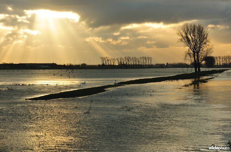 Overstroomde Noordschotebroek