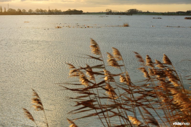 Overstroomde Rioolbroek