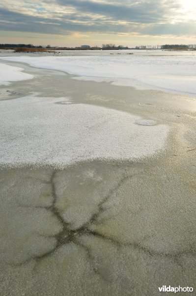 Bevroren overstroomde Rillebroeken
