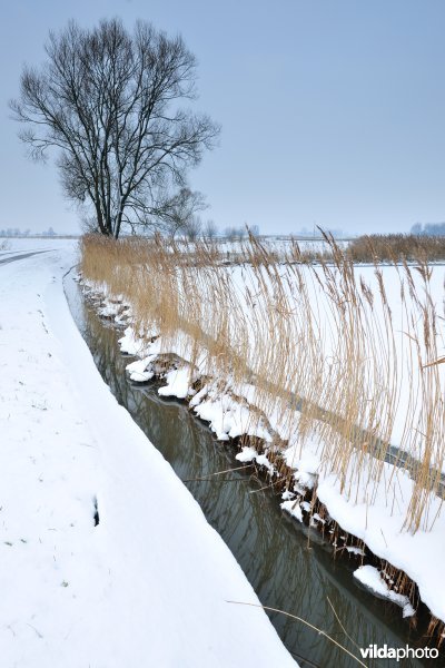 Winterse Rillebroeken