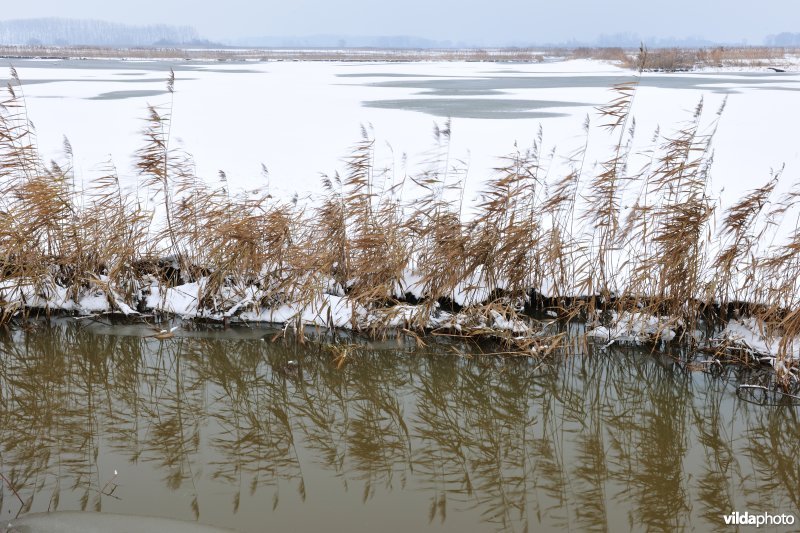 Winterse Rillebroeken