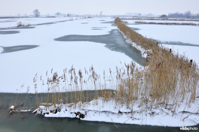 Winterse Rillebroeken
