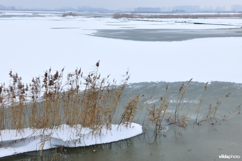 Winterse Rillebroeken