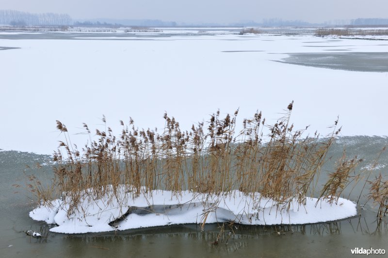 Winterse Rillebroeken