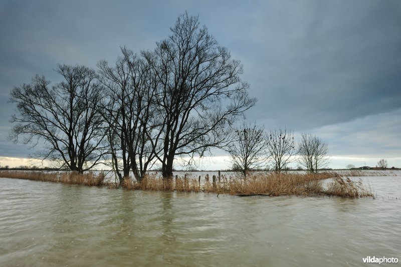 Overstroomde Woumenbroek