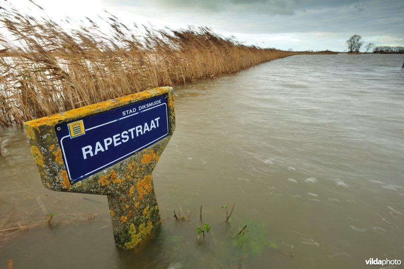 Overstroomde Woumenbroek