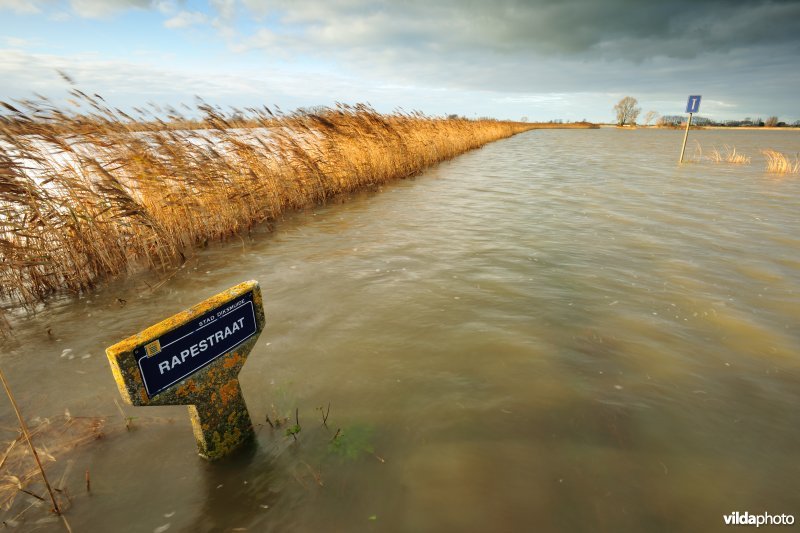 Overstroomde Woumenbroek
