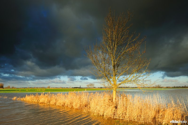 Overstroomde Rillebroeken