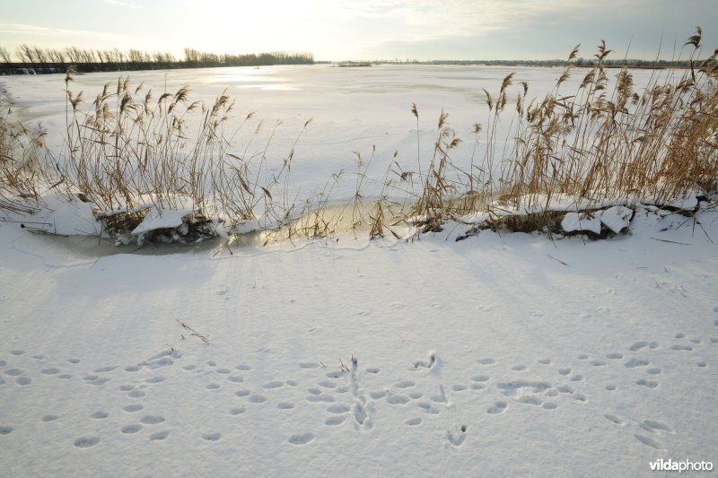 Winterse Merkembroeken