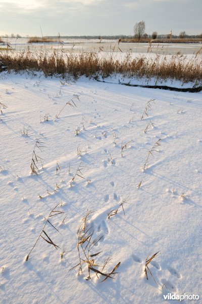 Winterse Merkembroeken