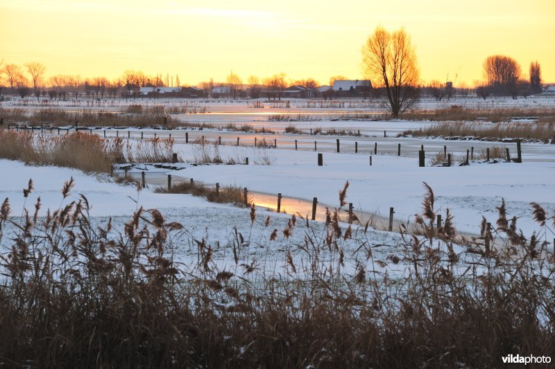 Winterse Merkembroeken
