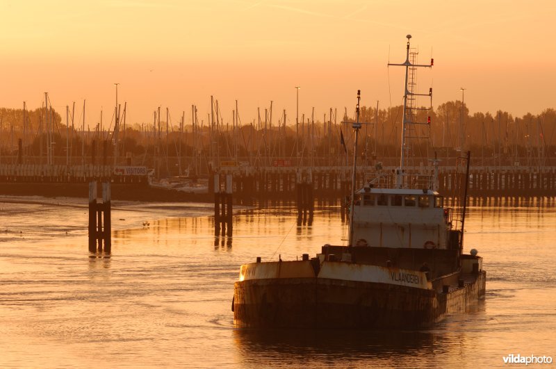 Baggerboot in de IJzermonding