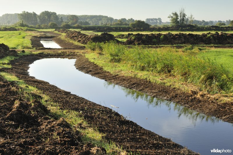Natuurinrichtingswerken aan de Blankaart