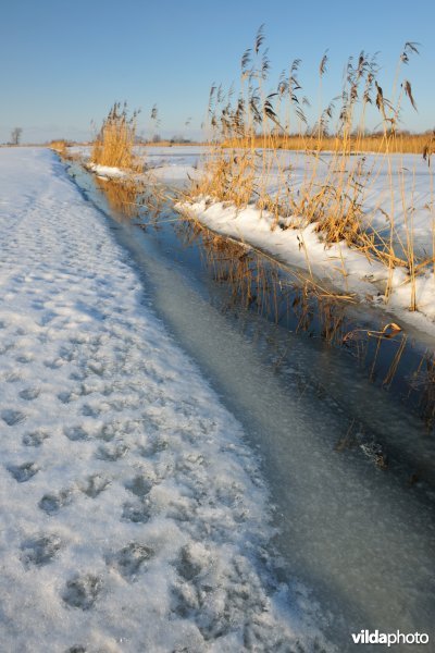 Vijfhuizenbroek