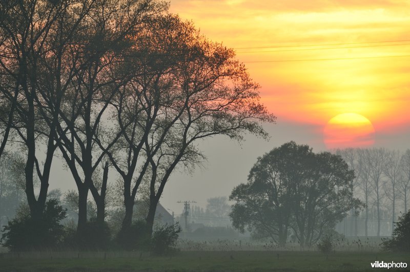 Woumenbroek